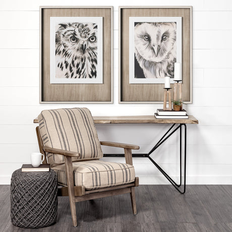 Charcoal Owl II by Jennifer Paxton Parker a Framed Art Print Matted under Glass by Mercana at Eve Furniture