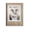 Charcoal Owl II by Jennifer Paxton Parker a Framed Art Print Matted under Glass by Mercana at Eve Furniture
