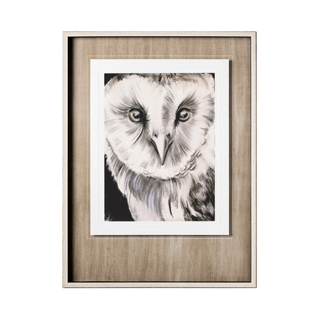 Charcoal Owl II by Jennifer Paxton Parker a Framed Art Print Matted under Glass by Mercana at Eve Furniture