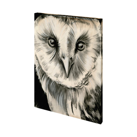 Charcoal Owl II by Jennifer Paxton Parker a Hand Embellished Textured Canvas by Mercana at Eve Furniture
