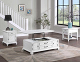 Charlestown Storage End Table by Steve Silver at Eve Furniture