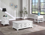 Charlestown Storage End Table by Steve Silver at Eve Furniture