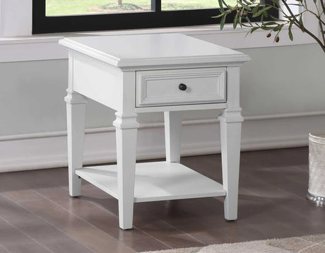 Charlestown Storage End Table by Steve Silver at Eve Furniture