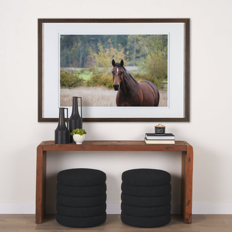 Charlie by Katelyn Mostert a Framed Photo Art Print Matted under Glass by Mercana at Eve Furniture