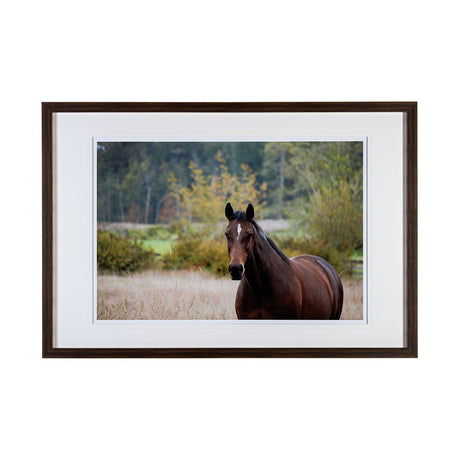 Charlie by Katelyn Mostert a Framed Photo Art Print Matted under Glass by Mercana at Eve Furniture