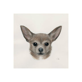Charlote (Chihuahua) by Mercana Studio a Hand Embellished Textured Canvas by Mercana at Eve Furniture