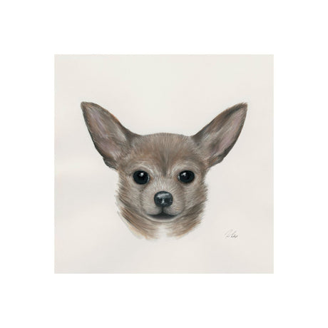 Charlote (Chihuahua) by Mercana Studio a Hand Embellished Textured Canvas by Mercana at Eve Furniture