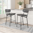 Charon Vintage Black Counter Stool (Set of 2) by Zuomod at Eve Furniture