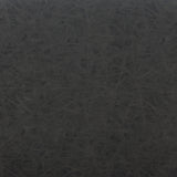 Charon Vintage Black Dining Chair (Set of 2) by Zuomod at Eve Furniture