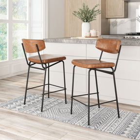 Charon Vintage Brown Counter Stool (Set of 2) by Zuomod at Eve Furniture
