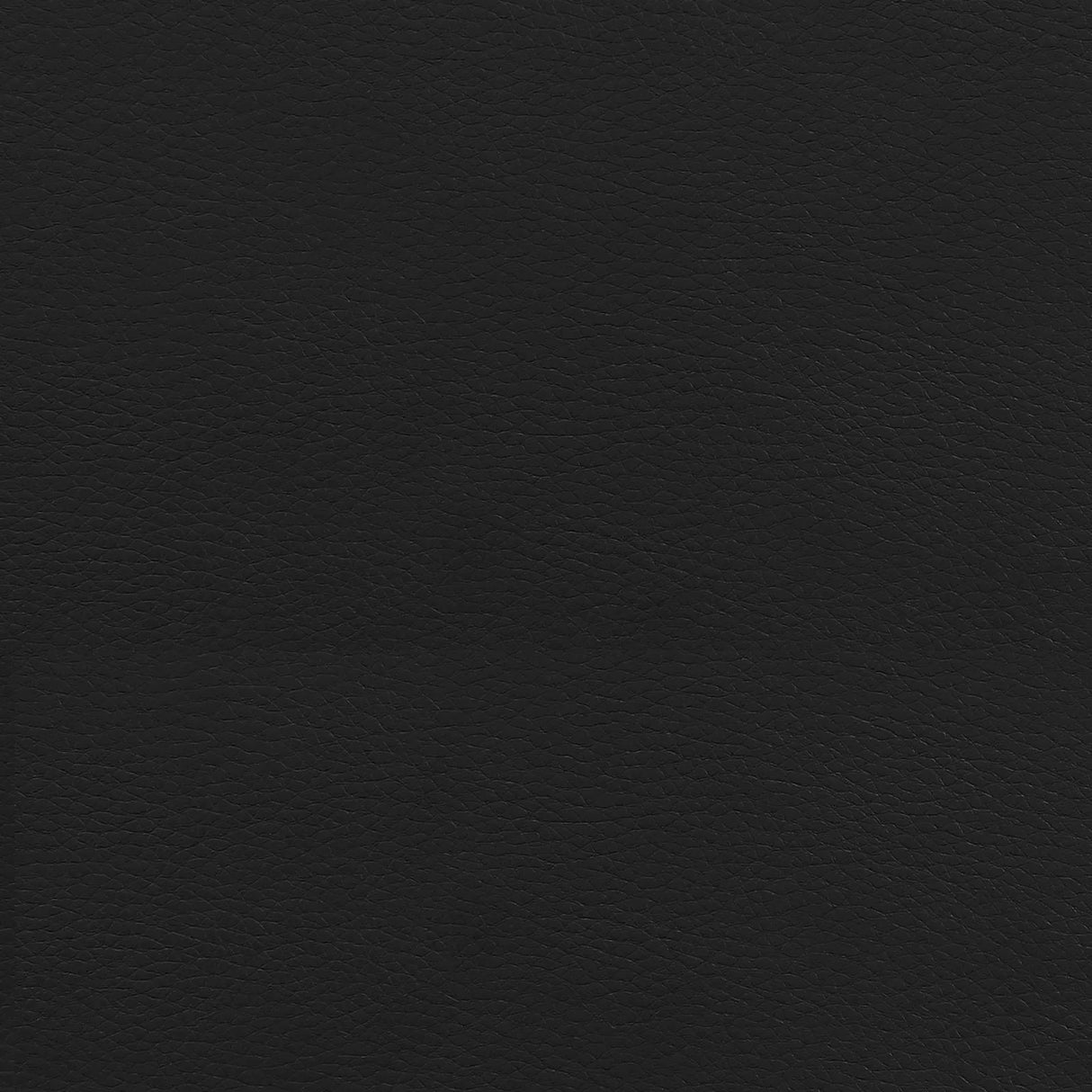 Chase Black/Chrome High Back Office Chair by Coaster at Eve Furniture