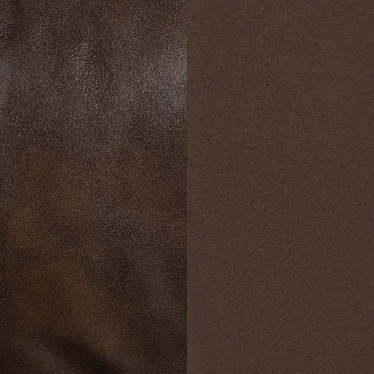 Chazzie Accent Chair by Classic Home at Eve Furniture