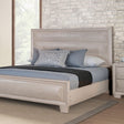 Chemnitz White Oak Queen Bed by Furniture of America at Eve Furniture
