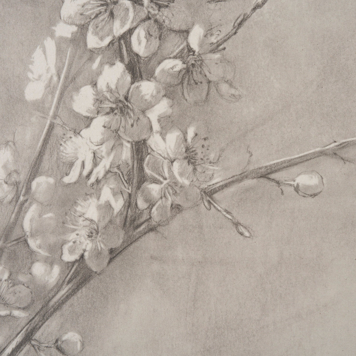 Cherry Blossom Sketch I by Mercana Studio a Hand Embellished Framed Art Print by Mercana at Eve Furniture
