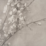 Cherry Blossom Sketch I by Mercana Studio a Hand Embellished Framed Art Print by Mercana at Eve Furniture