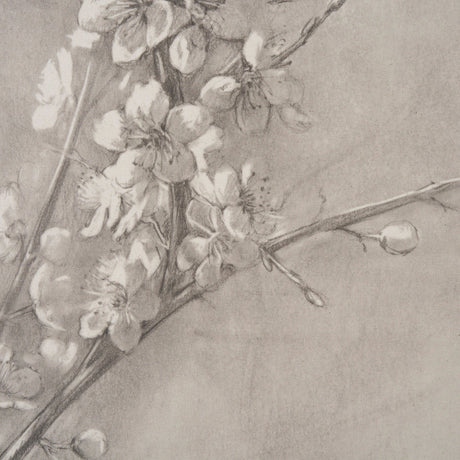 Cherry Blossom Sketch I by Mercana Studio a Hand Embellished Framed Art Print by Mercana at Eve Furniture