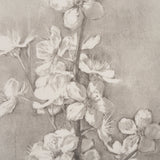 Cherry Blossom Sketch I by Mercana Studio a Hand Embellished Framed Art Print by Mercana at Eve Furniture