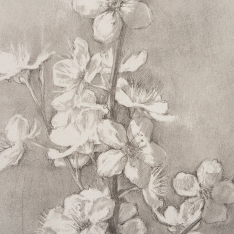 Cherry Blossom Sketch I by Mercana Studio a Hand Embellished Framed Art Print by Mercana at Eve Furniture