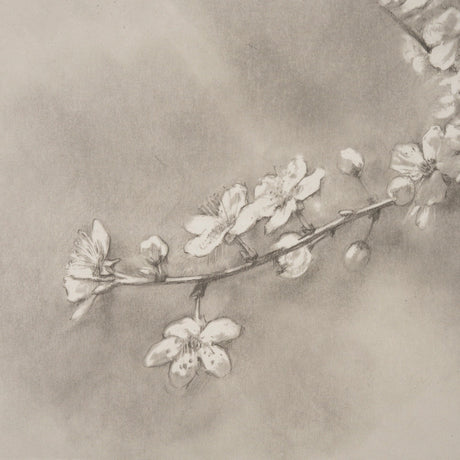 Cherry Blossom Sketch II by Mercana Studio a Hand Embellished Framed Art Print by Mercana at Eve Furniture