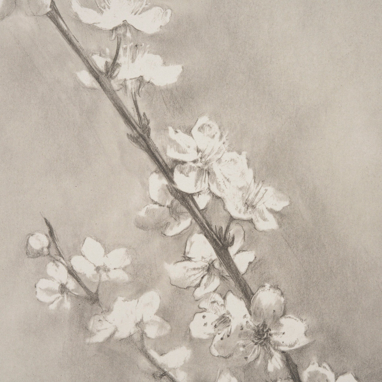 Cherry Blossom Sketch II by Mercana Studio a Hand Embellished Framed Art Print by Mercana at Eve Furniture