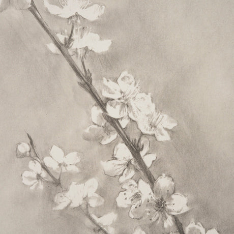 Cherry Blossom Sketch II by Mercana Studio a Hand Embellished Framed Art Print by Mercana at Eve Furniture
