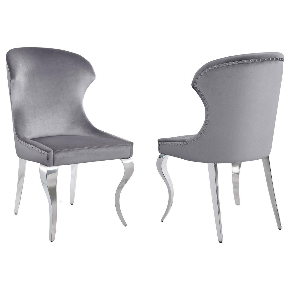 Cheyanne Upholstered Wingback Side Chair with Nailhead Trim Chrome and Grey (Set of 2) by Coaster at Eve Furniture