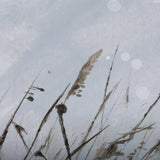 Chilly Breeze I by Mercana Studio a Hand Embellished Textured Framed Canvas by Mercana at Eve Furniture