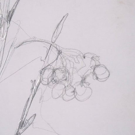 Chokecherry 1 by Mercana Studio a Hand Embellished Framed Art Print Matted under Glass by Mercana at Eve Furniture