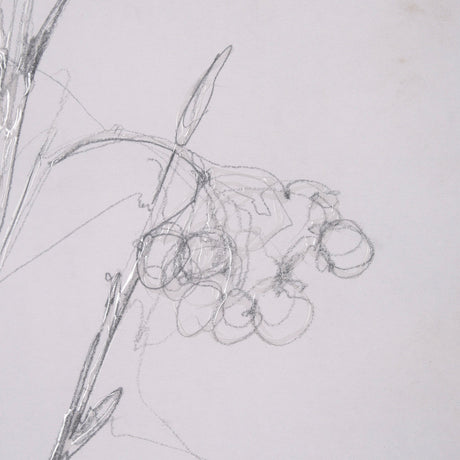 Chokecherry 2 by Mercana Studio a Hand Embellished Framed Art Print Matted under Glass by Mercana at Eve Furniture