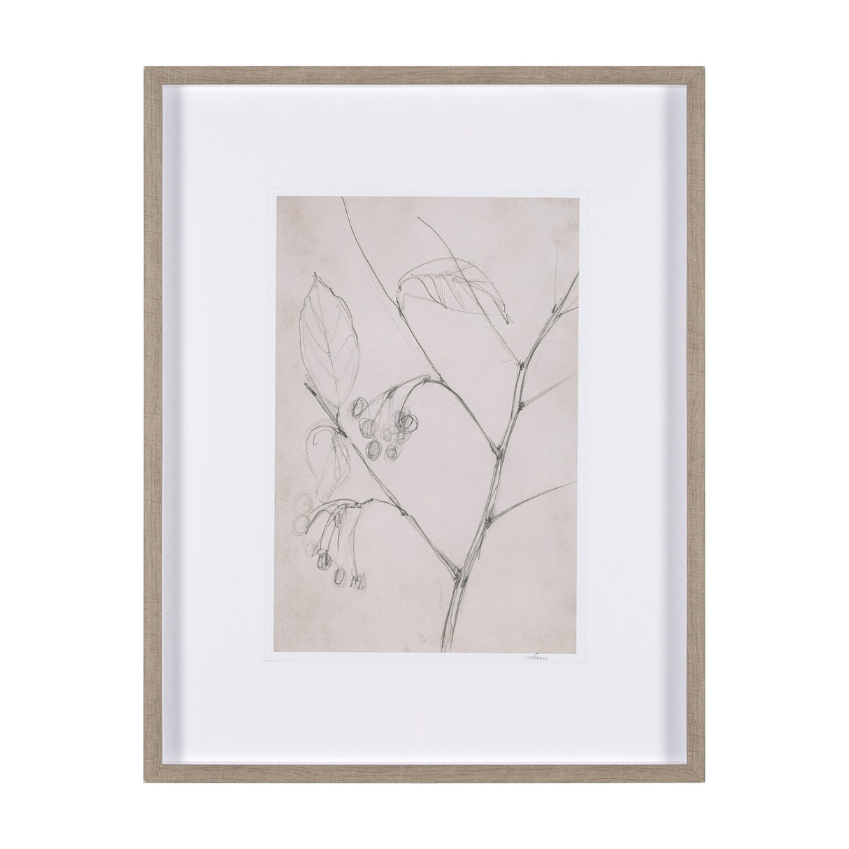 Chokecherry 2 by Mercana Studio a Hand Embellished Framed Art Print Matted under Glass by Mercana at Eve Furniture