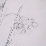 Chokecherry 3 by Mercana Studio a Hand Embellished Framed Art Print Matted under Glass by Mercana at Eve Furniture
