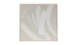 Chorus 1 Framed Painting by Moe's Home at Eve Furniture