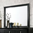 Chrissy Black Mirror by Furniture of America at Eve Furniture
