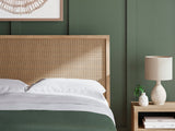 Cielden Tan Platform Bedroom Set by Ashley at Eve Furniture