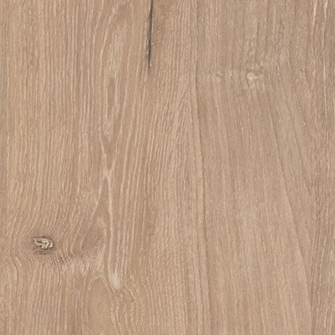 Cielden Two-tone Twin Platform Bed by Ashley at Eve Furniture