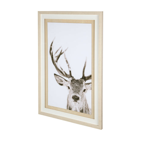 Ciervo 1 by THE Studio a Framed Photo Art Print Matted under Glass by Mercana at Eve Furniture