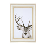 Ciervo 1 by THE Studio a Framed Photo Art Print Matted under Glass by Mercana at Eve Furniture