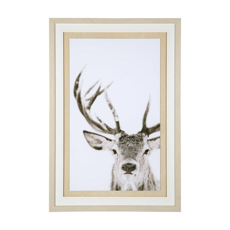 Ciervo 1 by THE Studio a Framed Photo Art Print Matted under Glass by Mercana at Eve Furniture