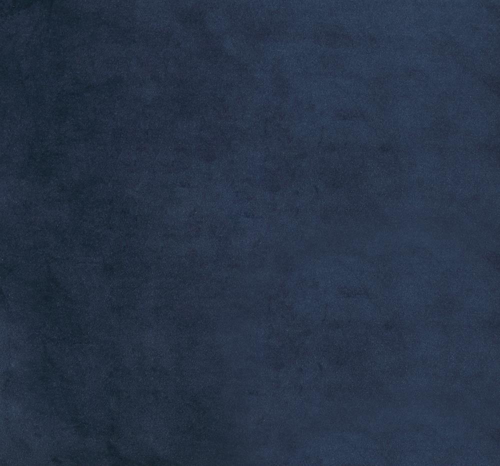 Cisco Ink Blue Tufted Back Side Chairs, Set of 2 by Coaster at Eve Furniture