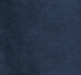 Cisco Ink Blue Tufted Back Side Chairs, Set of 2 by Coaster at Eve Furniture