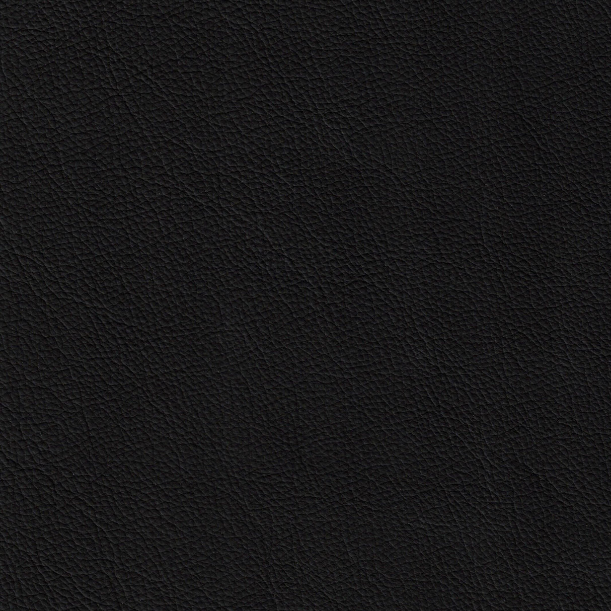 Cleopatra Office Chair Black by Zuomod at Eve Furniture