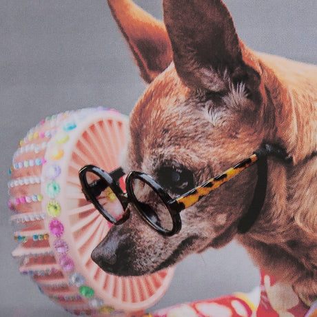 Clever Canines by Mercana Studio a Hand Embellished Textured Framed Photo Art Print Matted under Gla by Mercana at Eve Furniture