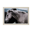 Close Companions by Nathan Kane a Framed Photo Art Print Matted under Glass by Mercana at Eve Furniture