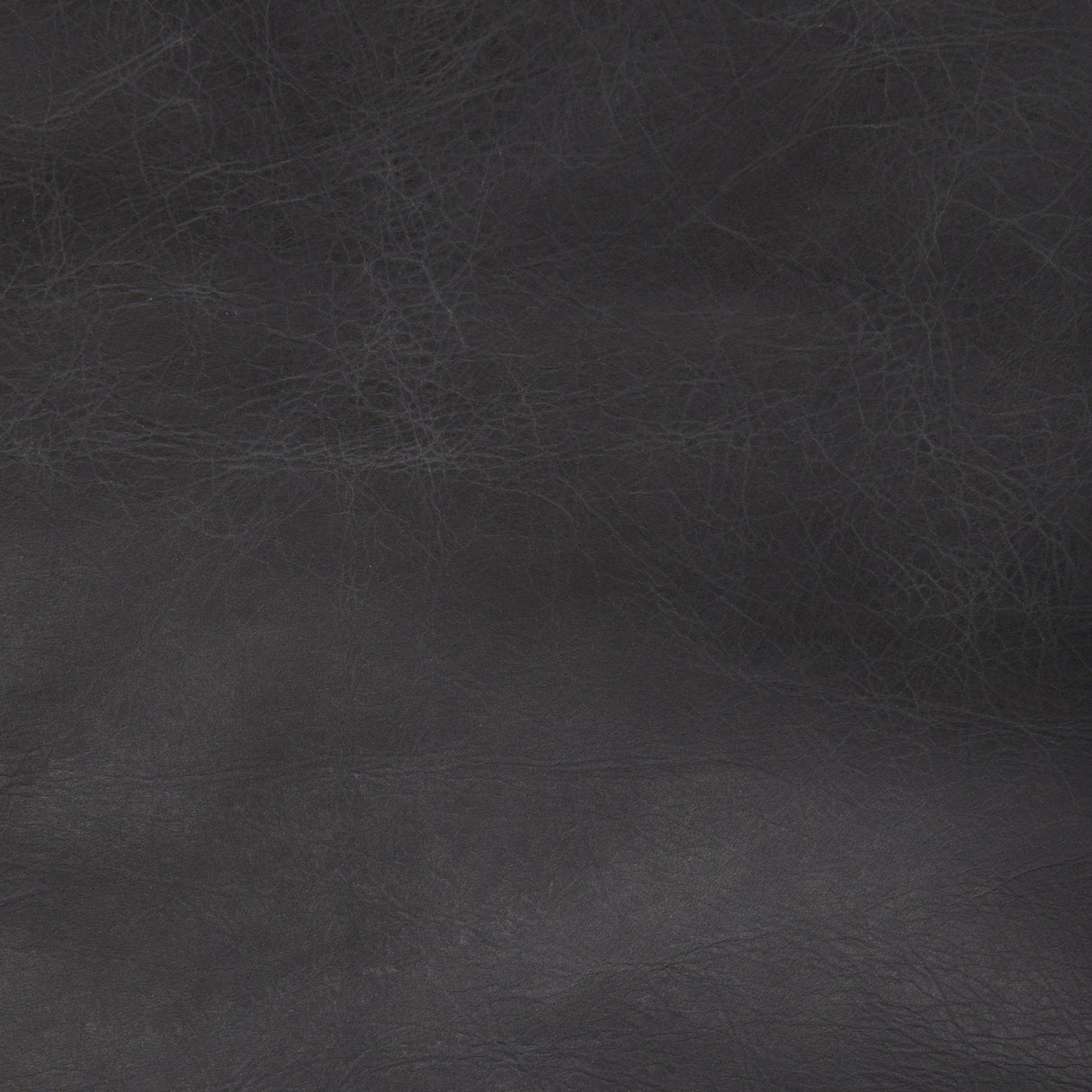 Cochrane 34.5L x 33.0W x 32.5H Black Leather Wrapped Chair by Mercana at Eve Furniture