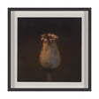 Collecting by Stig Kalvelid a Hand Embellished Framed Photo Art Print Matted under Glass by Mercana at Eve Furniture