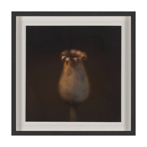 Collecting by Stig Kalvelid a Hand Embellished Framed Photo Art Print Matted under Glass by Mercana at Eve Furniture