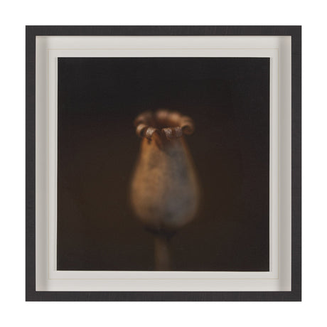 Collecting by Stig Kalvelid a Hand Embellished Framed Photo Art Print Matted under Glass by Mercana at Eve Furniture