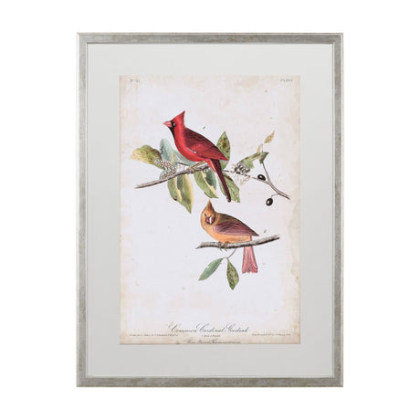 Common Cardinal Grosbeak by John James Audubon a Framed Art Print Matted under Glass by Mercana at Eve Furniture