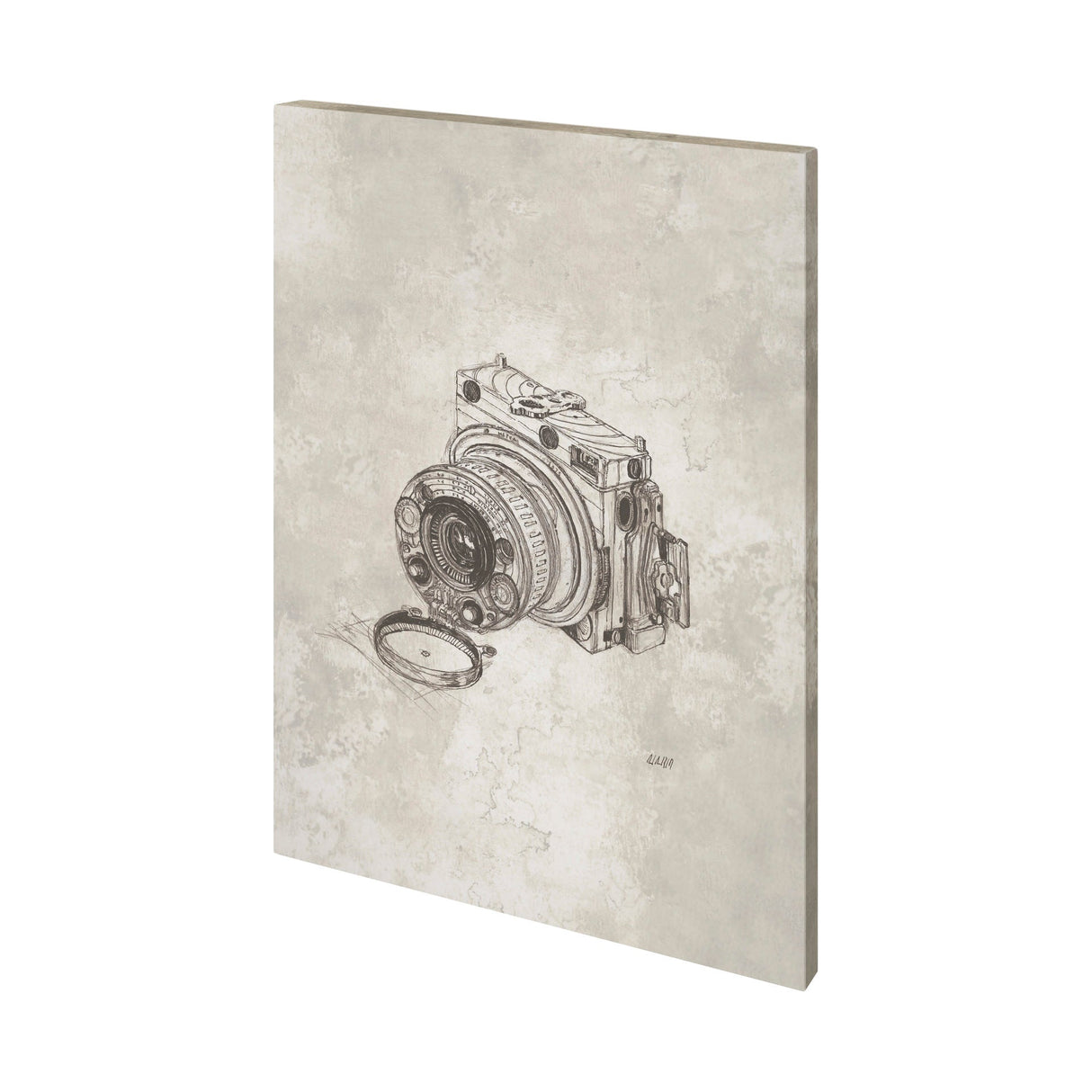 Compass Camera Bronze I by Mercana Studio a Hand Embellished Textured Canvas by Mercana at Eve Furniture