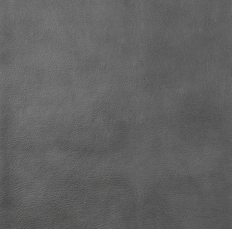 Conrad Grey 2-piece Upholstered Padded Arm Motion Sofa Set by Coaster at Eve Furniture